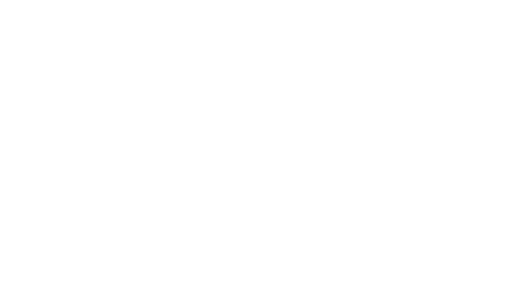 logo-smartcrm-weiss